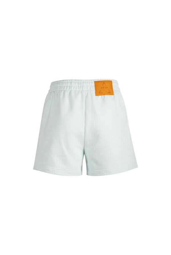 Carlito Shorts Light Blue Back